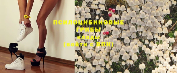 кристаллы Дмитров